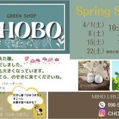 小さいおばちゃんの植物屋「CHOBO」