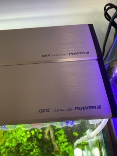 淡水魚水槽60cm一式