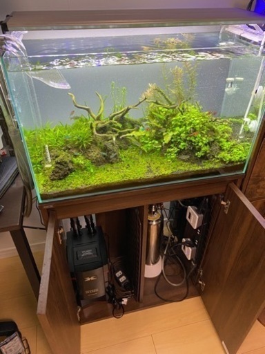 淡水魚水槽60cm一式