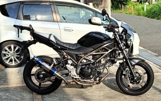 SV650　オダックス RENNTEC スポーツキャリア