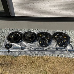 iROTEC バーベル プレートセット ベンチプレス デッドリフト 楽天市場】RITFIT 標準オリンピックバーベルセット 本格 ベンチプレス