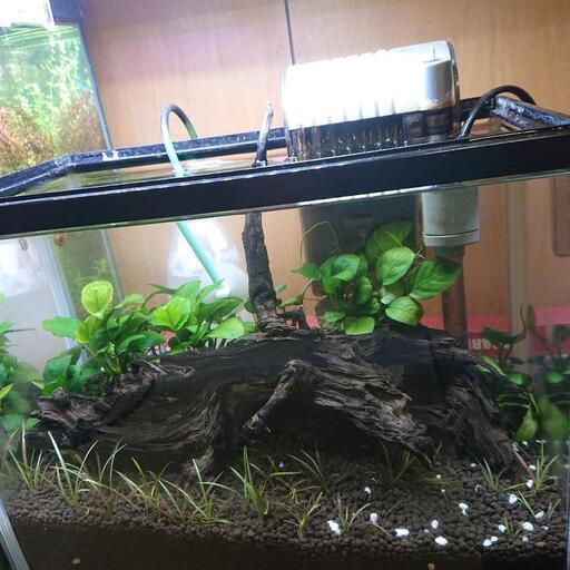水槽