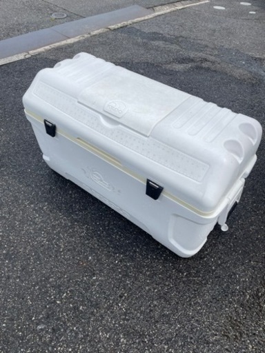 igloo 大容量 クーラーボックス institutoloscher.net