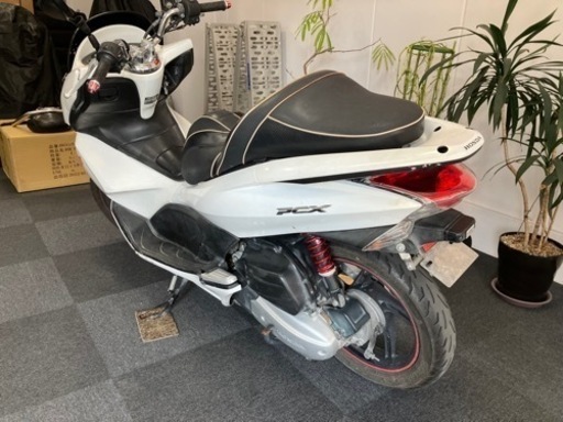 成約御礼】試乗可能 JF28 NCD125D PCX125 パール ホワイト 【公式通販】