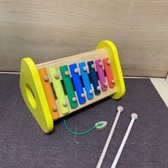 エドインター 森の音楽会 知育玩具 木のおもちゃ 鉄琴
