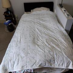 白の 薄い 肌掛け ベッドパッド シーツ 