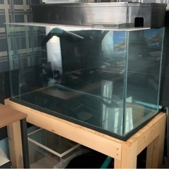 GEX オールガラス水槽　90×40×50上部セット