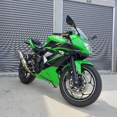 【ネット決済・配送可】Kawasaki Ninja250SL ラ...