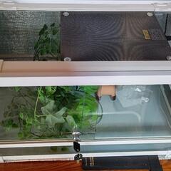 爬虫類ケージ フルセット