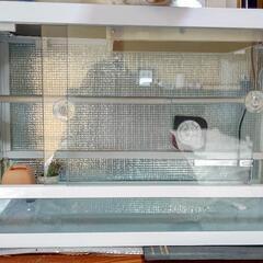 爬虫類ケージ フルセット