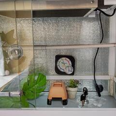 爬虫類ケージ フルセット