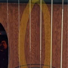 【中古ギター】マーチン/ DJR-2A Sapeli 中古ギター】マーチン/ DJR-2A Sapeli