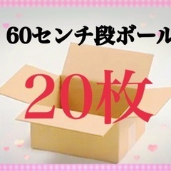 【ネット決済・配送可】宅配便•フリマ用　60センチ発送用段ボール...