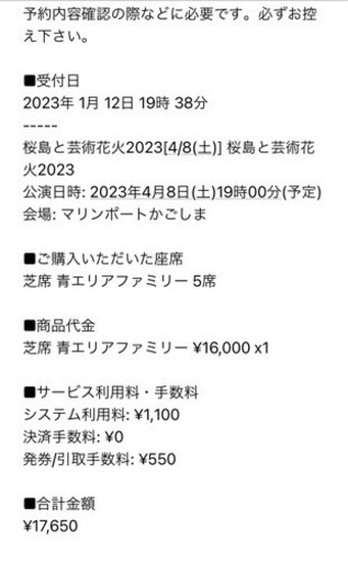 桜島と芸術花火2023ファミリーチケット