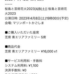 桜島と芸術花火2023ファミリーチケット