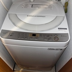 SHARP洗濯機6kg 2019年製
