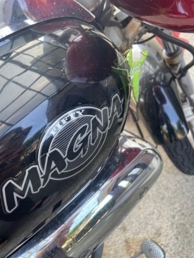 マグナ