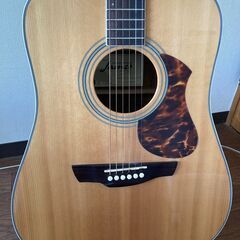 値下げしました】初心者向けJAMES アコースティックギターJ-500D 【美品】