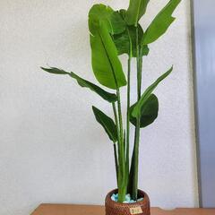 フェイク品 観葉植物