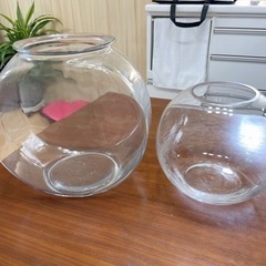 熱帯魚 金魚 メダカ ガラス水槽