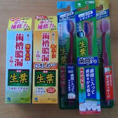 生葉　歯磨き粉　歯ブラシ　５点