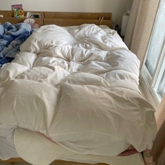シングルベッド一式　コアラマットレス