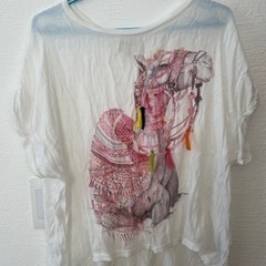 ZARA ラクダ　Tシャツ