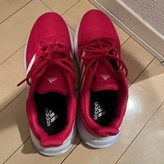 adidas スポーツシューズ　25.0 美品☺︎