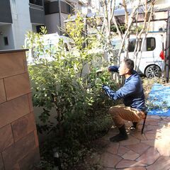 お庭、山林をお持ちの方、4~5月作業ご成約の方は特別値引き致します！ - 横浜市
