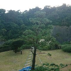 お庭、山林をお持ちの方、4~5月作業ご成約の方は特別値引き致します！ − 神奈川県