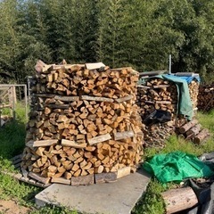 薪販売中　在庫処分　300キロ　激安