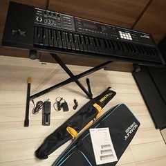 Roland(ローランド) / JUNO-DS61 数量限定色ブラック 黒鍵 61鍵