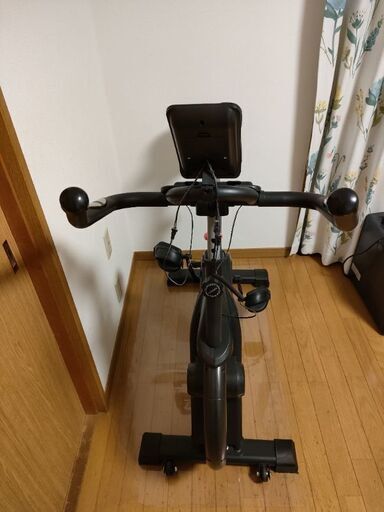 STEADY ST128 スピンバイク エアロバイク | drleonardocatizani.com.br