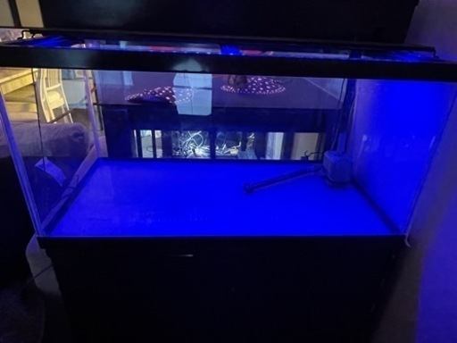 90cm水槽