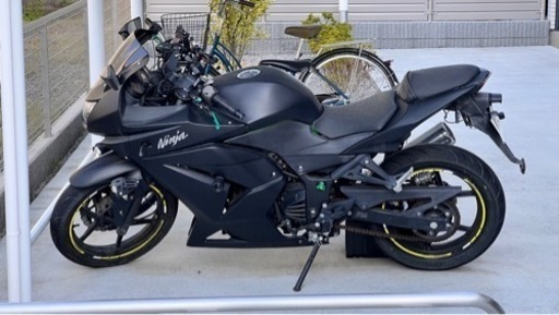 NINJA250R カスタム　ETC付