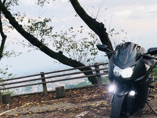 NINJA250R カスタム　ETC付