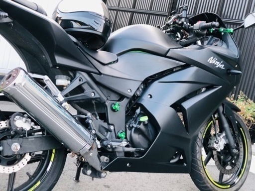 NINJA250R カスタム ETC付 chateauduroi.co