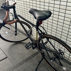 ロードバイク CANOVER （カノーバー）CAR-013 ORPHEUS カノーバー(CANOVER) ロードバイク 14段変速 CAR-013 ORPHEUS