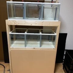 【値下げしました】集中ろ過システム　熱帯魚やメダカの室内飼育に