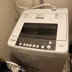 Hisense 洗濯機5,5kg