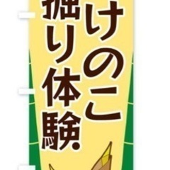 4/22 14時〜 筍 タケノコ たけのこ掘り体験