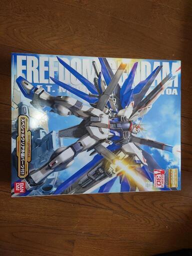 ストライクフリーダムガンダム　エールストライクガンダム MG