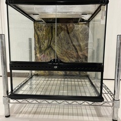 GEX エキゾテラ 値下げしました。