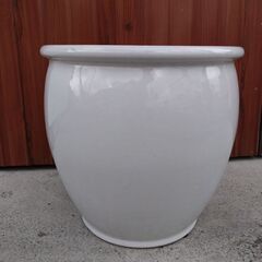 観葉植物用の陶器の壺