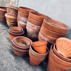 flower pot（中古） : イタリア製テラコッタ鉢12個ほ...