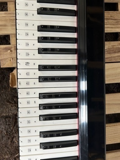 電子ピアノ 88鍵盤 carina-af0088c