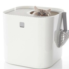 🐈【保護猫】縦型猫トイレ・その他猫トイレ保護猫用に探しています