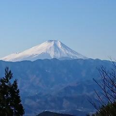 (5月13日)一緒に高尾山ハイキングへ行きませんか？