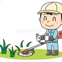 草刈、剪定、木の伐採 (お仕事受けます)