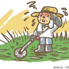 草刈、剪定、木の伐採 (お仕事受けます)